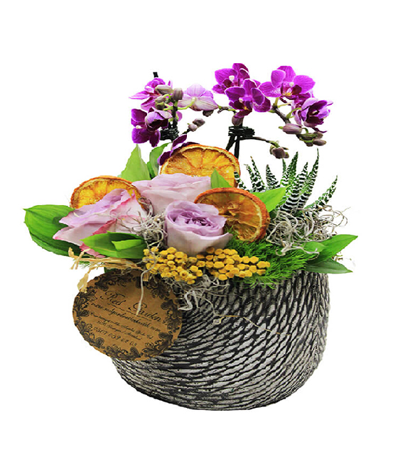 lila-gul-ve-mini-mor-orkide