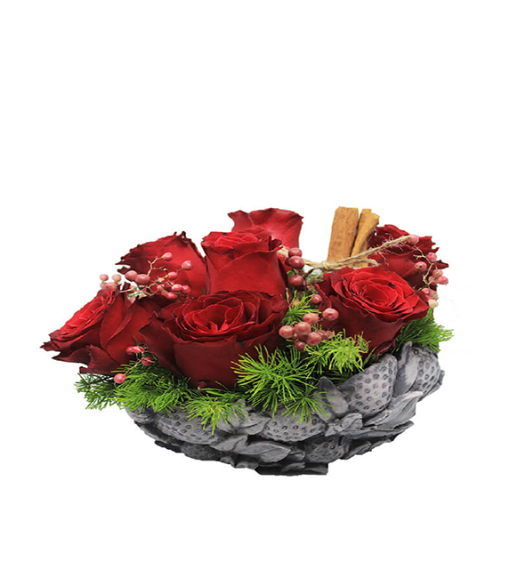 cilek-saksida-7-kirmizi-gul