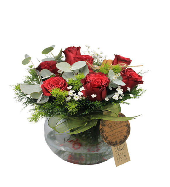 akvaryum-7-kirmizi-gul