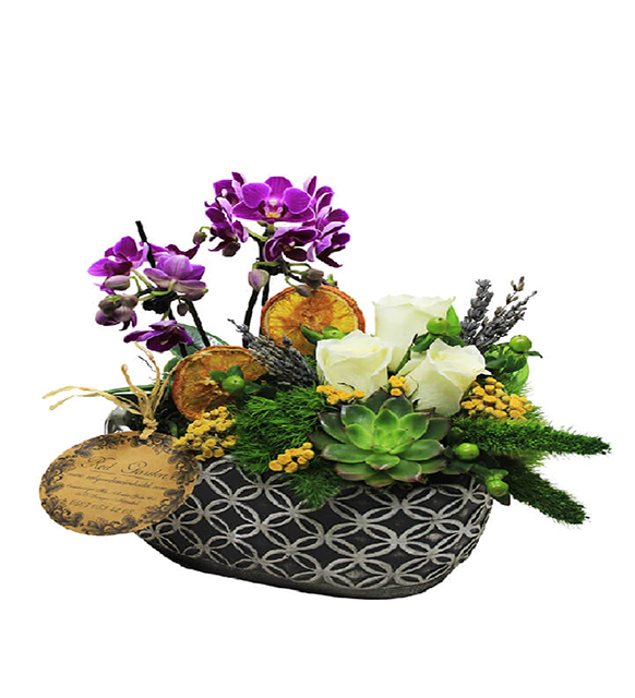 mini-orkide-ve-beyaz-gul-skulent