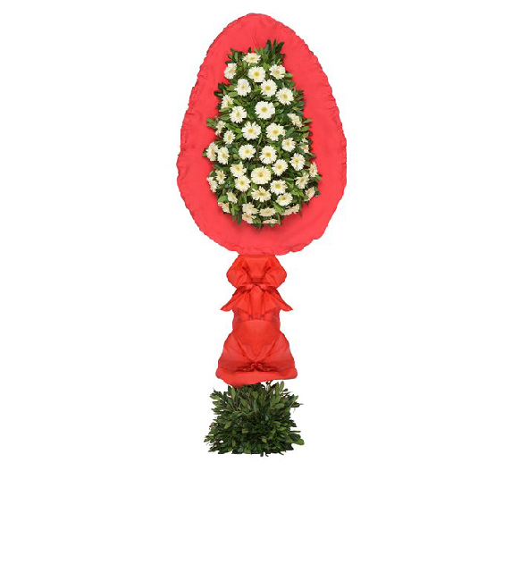 beyaz-gerbera-dugun-sepeti